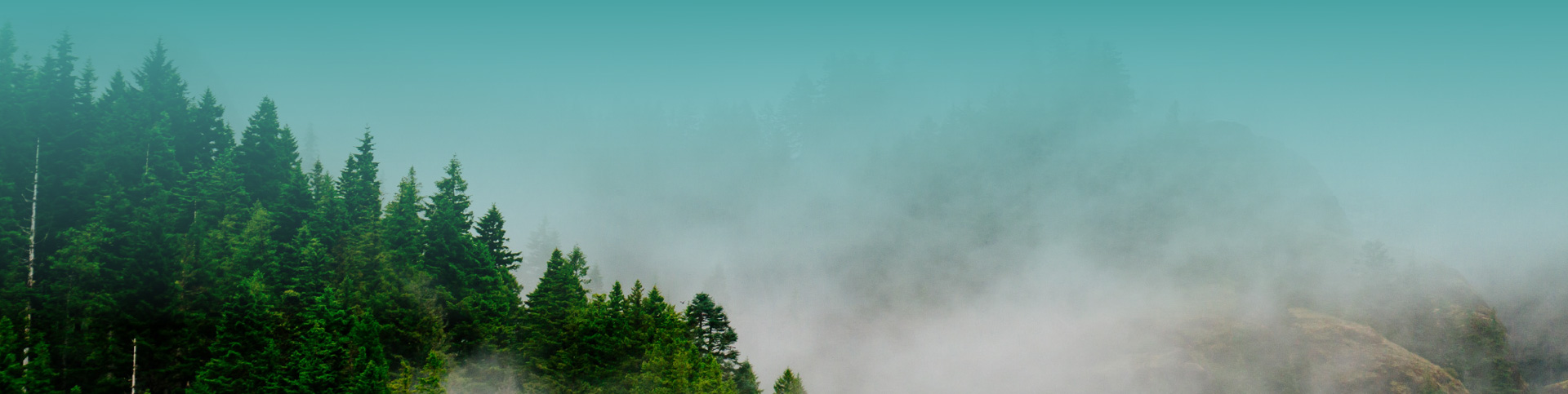 Spritzer Natural Mineral Water 